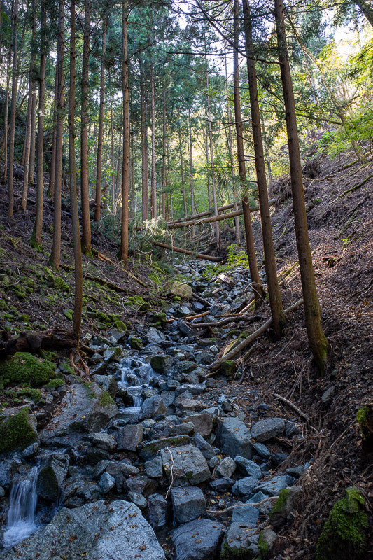 Japan-Tokyo-Hiking-Mount Kuratake - The path down descended into rocks, streams and fallen logs. Hard going again.
