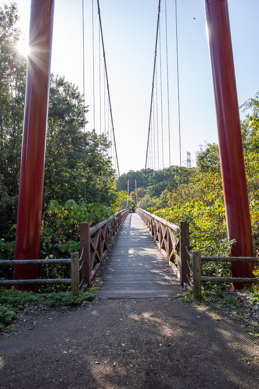 Japan for the 9th time - Oct and Nov 2019 - Around the back is a botanic gardens that is under construction. To get to it you have to cross this big red wooden bridge. I was still trying to find