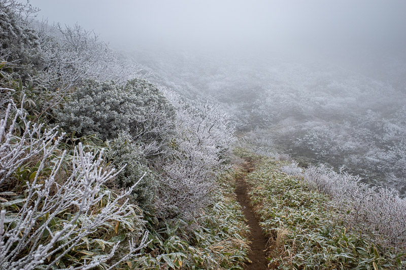Japan-Yamagata-Hiking-Mount Zao - Getting quite icy, but you can still see the path is dirt at this point.