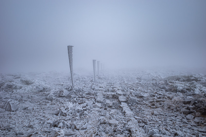 Japan for the 9th time - Oct and Nov 2019 - The poles were very useful in near white out conditions.