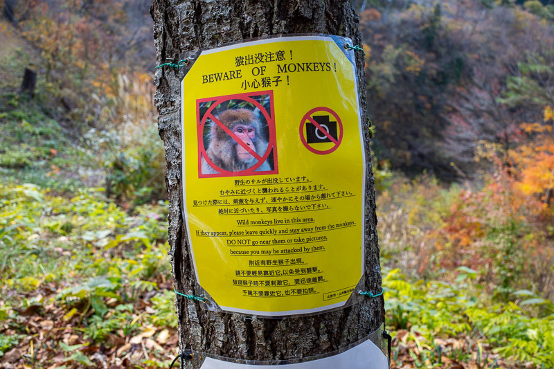 Japan for the 9th time - Oct and Nov 2019 - I took note of the monkey warning, a nice difference from the usual bear warning.