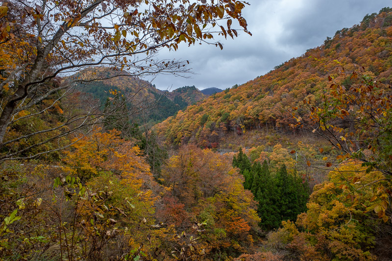 Japan for the 9th time - Oct and Nov 2019 - OK, after exiting the canyon, its about a 5km walk to Yamadera, along a very picturesque, very quiet road. The only cars that came were Japan Rail min