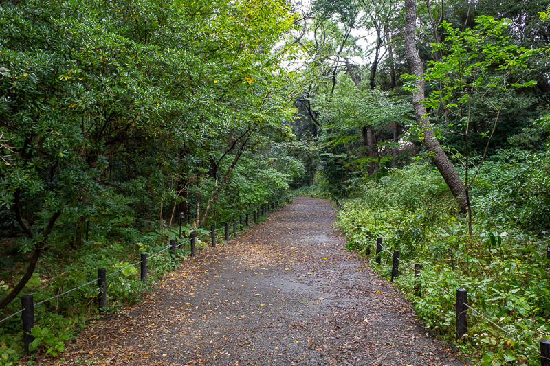 Japan for the 9th time - Oct and Nov 2019 - This is what most of the Institute for urban development of forest walking paths and associated tree related infrastructure cultural zone looks like.
