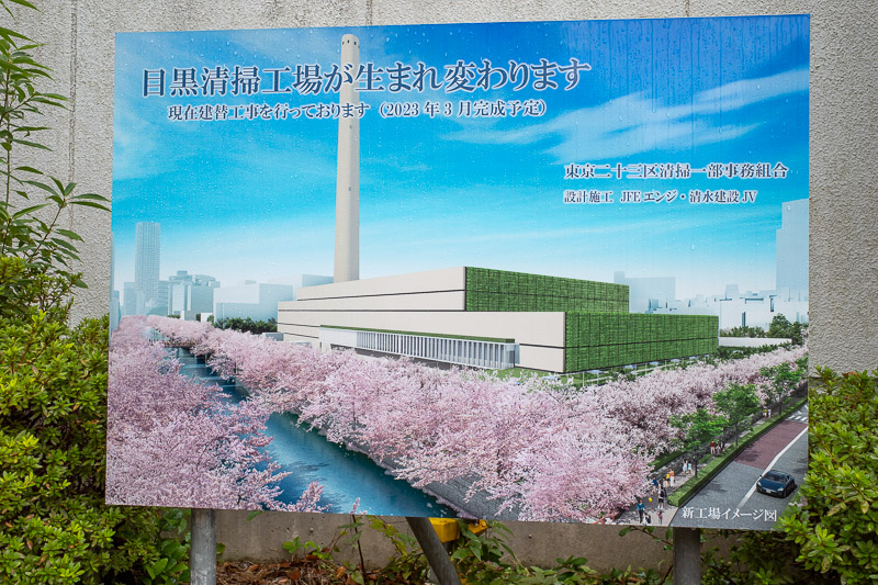 Japan-Tokyo-Meguro-Nature Institute - The cherry blossom storm water channel is soon to be the home of a new rubbish incinerator, look how pretty it is!