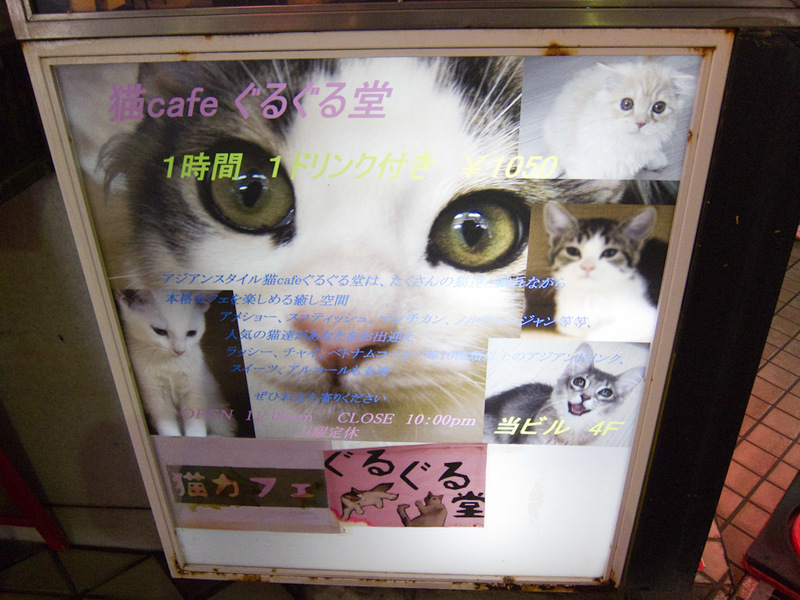 Japan and Taiwan March 2012 - hmmm, maybe another time I will be brave enough for a return visit to a cat cuddling cafe