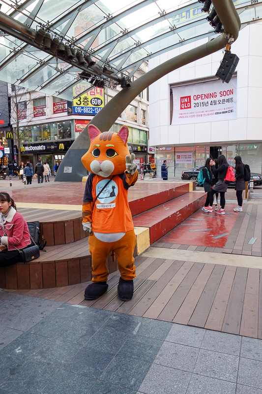 Korea-Daegu-Monorail - Cat suit guy is giving me the peace sign. I did not respond. Instead I took his photo.