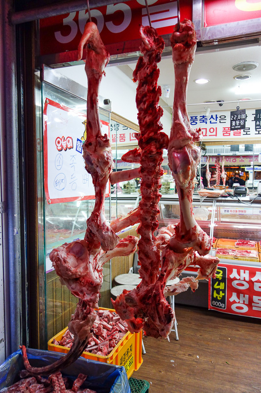 Korea-Daegu-Monorail - Huge bones. Seriously 6 foot high. I dont know what they came out of. Fresh!