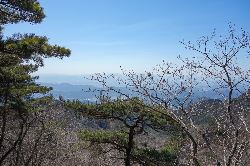 Korea-Daegu-Hiking-Gatbawi-Palgonsan - View from half way up. The pine trees all seemed to be bonsai.