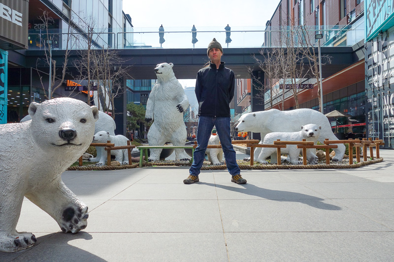Korea again - Incheon - Daegu - Busan - Gwangju - Seoul - 2015 - Final photo for now, the polar bears felt right at home as it was again cold. I think they have eaten all the shoppers. I probably could have taken my