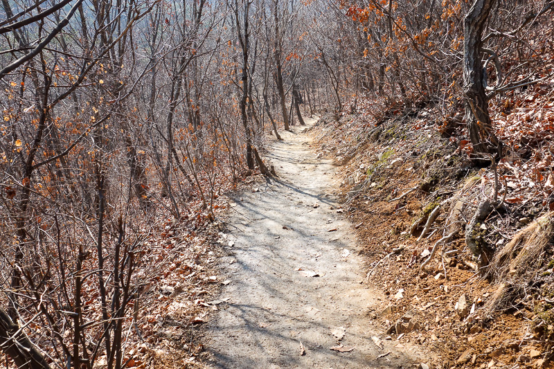 Korea-Hiking-Incheon - Todays paths were mostly like this. However every now and then there were mud pits, and sometimes rocks to scramble over.