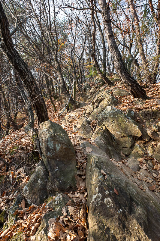 Korea-Seoul-Hiking-Cheonggyesan - The rocky bits were few and far between. As I mentioned, I started quite far from the main entrance to the park, so it was still a proper trail rather