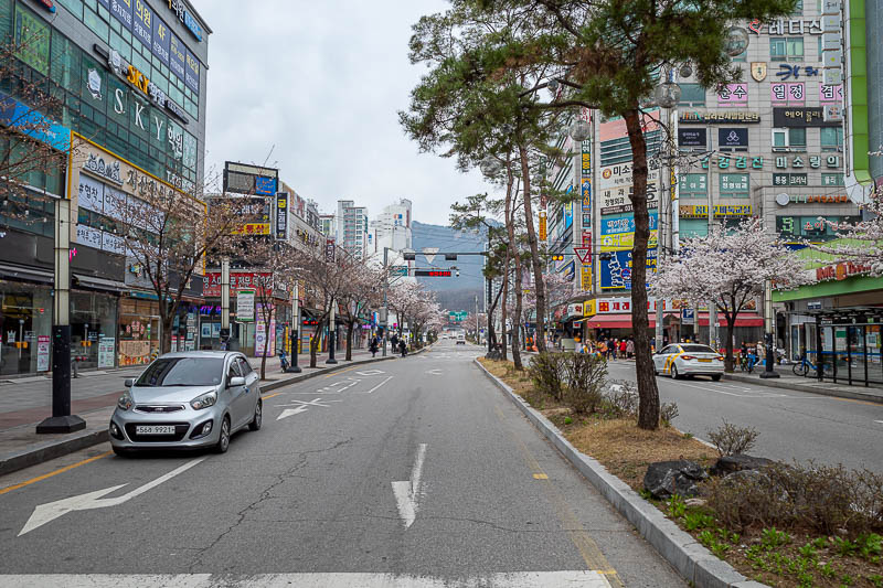 Korea-Seoul-Hiking-Suraksan - The Hoeryong station area is surrounded by shop filled streets, and more blossoms.