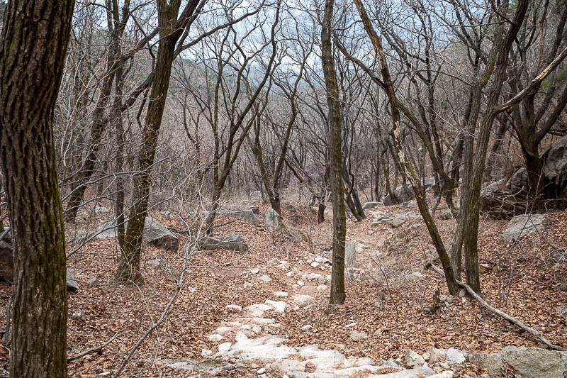 Korea-Seoul-Hiking-Suraksan - Eventually I started on a long man made trail down of... more rocks.