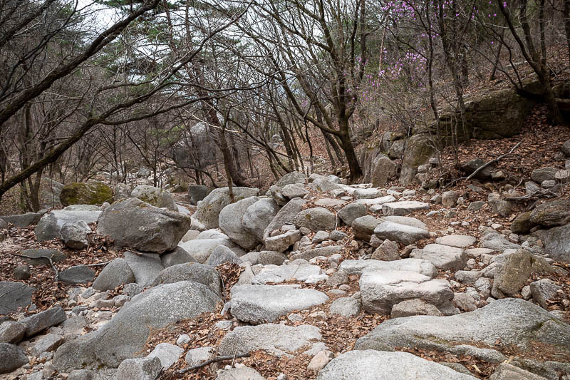 Korea-Seoul-Hiking-Suraksan - But fear not, still more rocks! A glacial flow of rocks from pre-history!