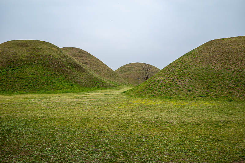 Korea-Daegu-Gyeongju-Train - Are they funeral mounds or Tombs? Well there is a museum, so I went in to find out. Also I do not know what the difference is between a funeral mound 