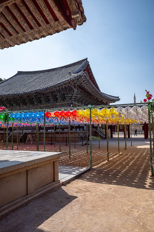 Korea-Gyeongju-Hiking-Bulguksa-Tohamsan - A lot of plastic lanterns were in the process of being hung everywhere.