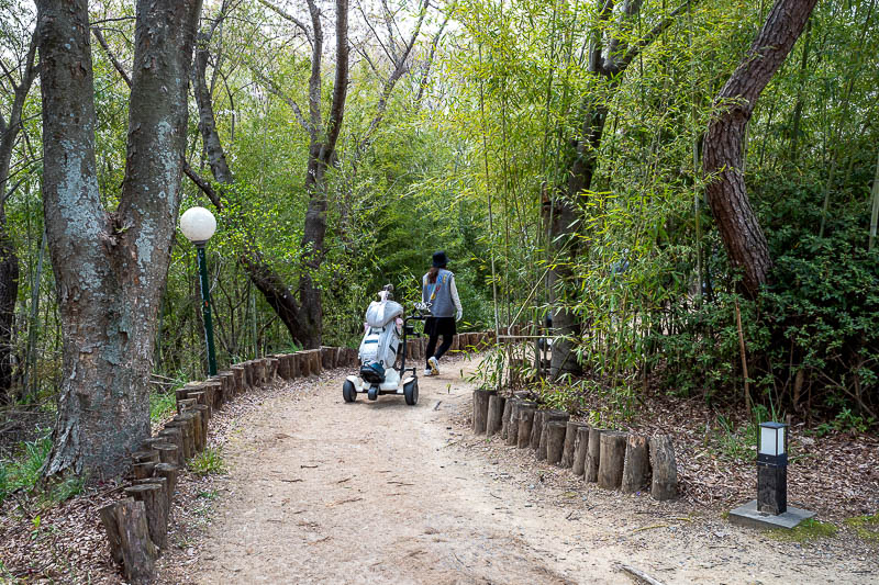 Korea-Gyeongju-Hiking-Bulguksa-Tohamsan - Not to worry, I was very near a golf course. This is a boring photo except for the autonomous follow me golf buggies. Everyone had one, it literally f