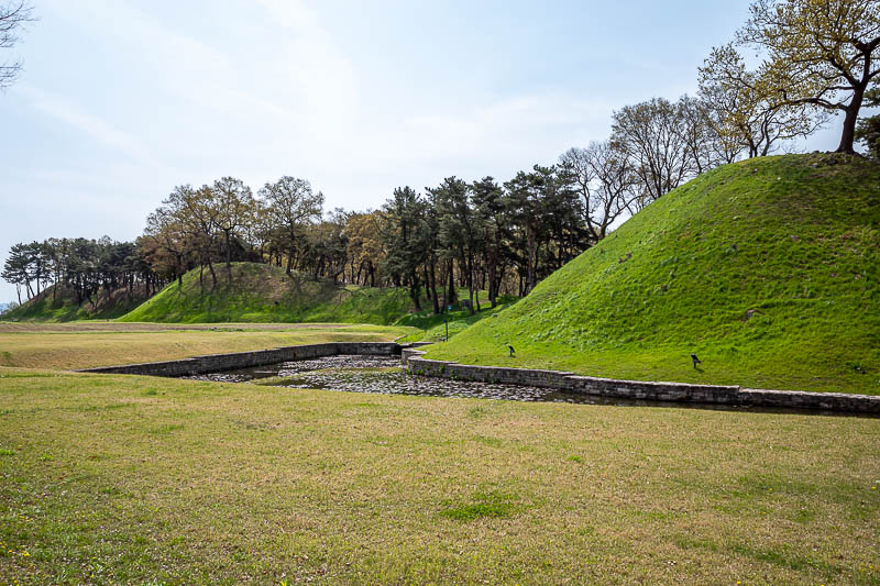 Korea-Gyeongju-Wolseong-Bomunho - Unmarked tombs. With cool trees.