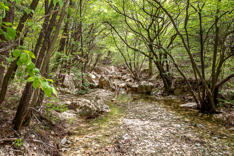 Korea-Busan-Hiking-Hoedong - I had to cross one stream. It had rocks positioned for this purpose.