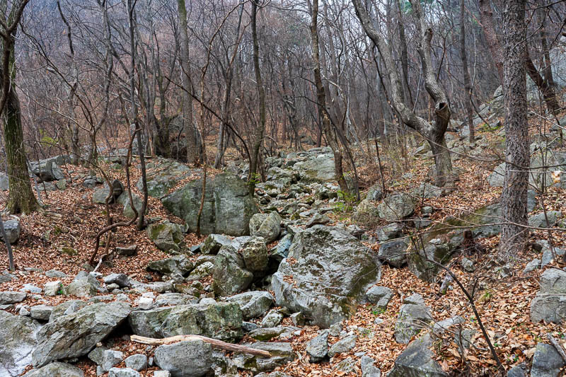 Korea-Hiking-Gyeryongsan - The path at first was rewardingly rocky. My poor shoes are wearing out fast clamouring over all this granite. Every Korean hiking trail is sharp grani