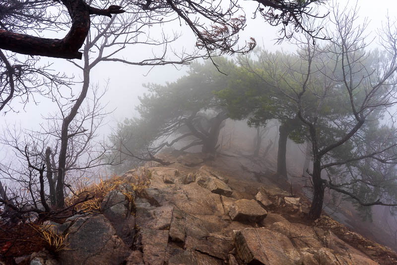 Korea-Hiking-Gyeryongsan - I enjoyed carefully going along the ridge between the peaks. It probably looked much more dangerous than it was due to the fog.