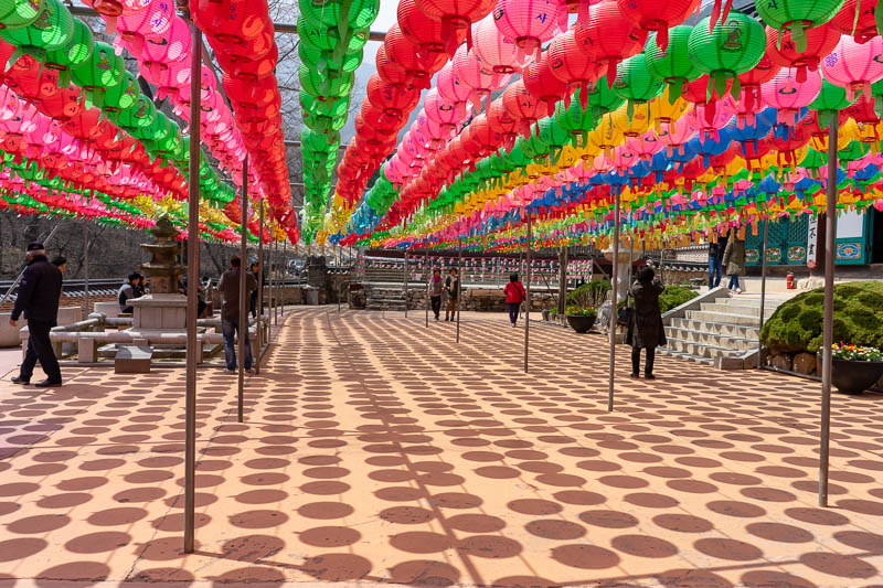 Korea-Hiking-Gyeryongsan - And then I was back down, and entering the Buddhist temple through the back entrance, enjoying the fluro lanterns in brilliant bright sunshine.
