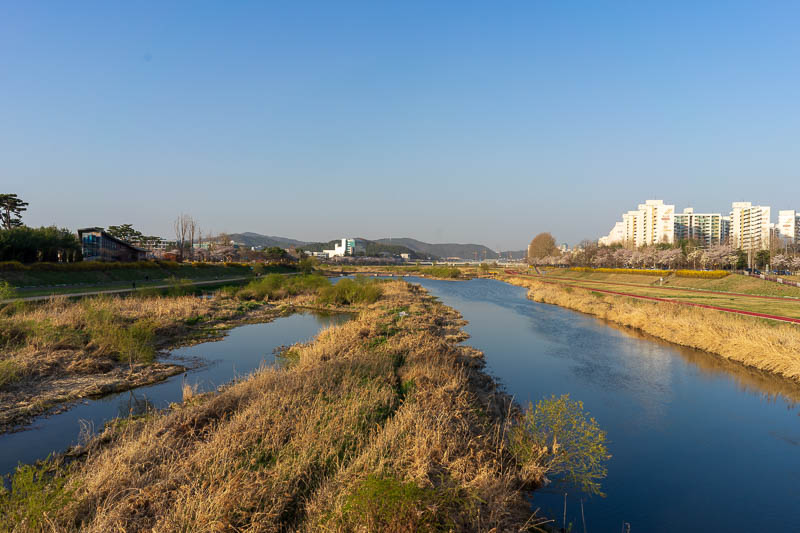 Korea-Daejeon-Bibimbap - My walk took me across at least 4 rivers such as this, all had nice walking / bike riding trails. I wanted to go running along them.