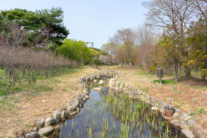 Korea-Daejeon-Expo - This was the start of the main park, split in two, I think they call it the arboretum. There was definitely an 'oak zone'.