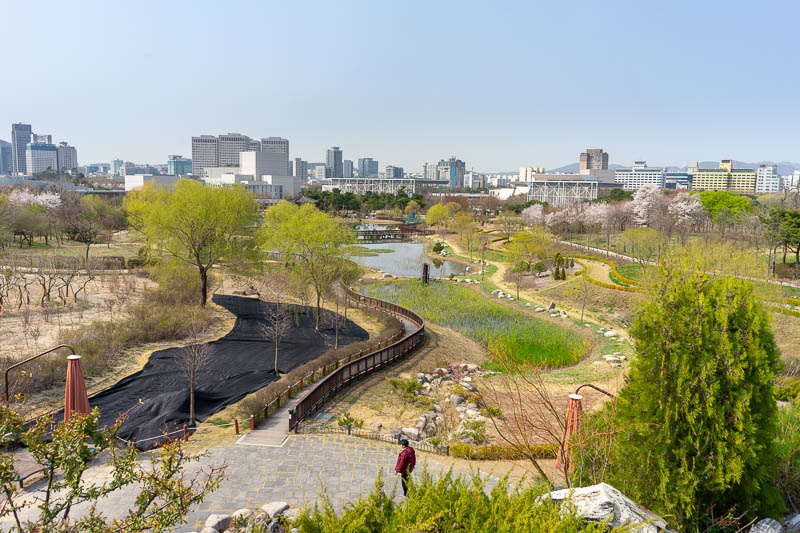 Korea-Daejeon-Expo - The park has an impressive mound to climb up and appreciate the view from. Behold, many blossoms, and a clear sky. It was very warm at one point, I wo