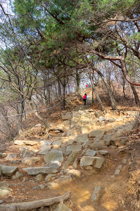 Korea-Daejeon-Hiking-Gyejoksan - This was the last bit of the path up to the top of Gyejoksan, well formed well signposted path today.
