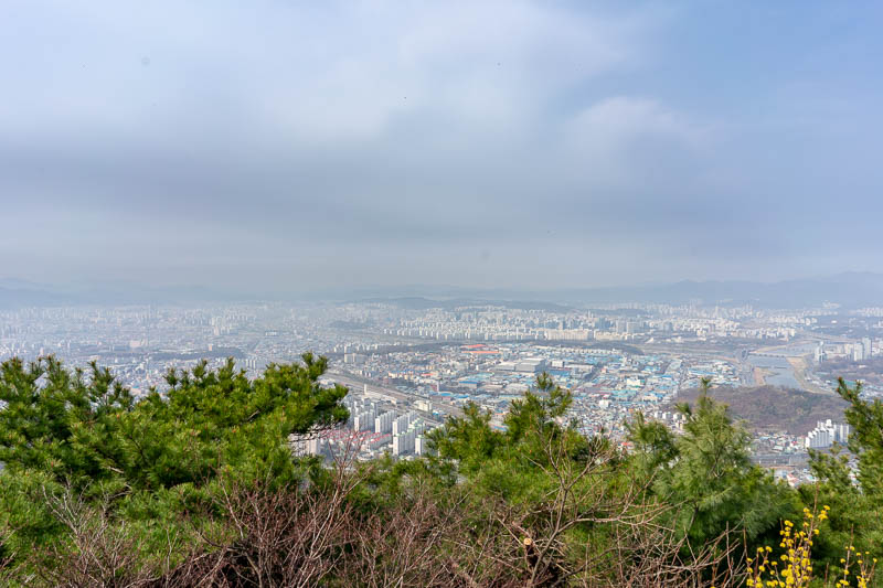 Korea - HK - China - KORKONG! - The view from the top was ok, trees in the way, too much smog, but many white identical apartment blocks below.