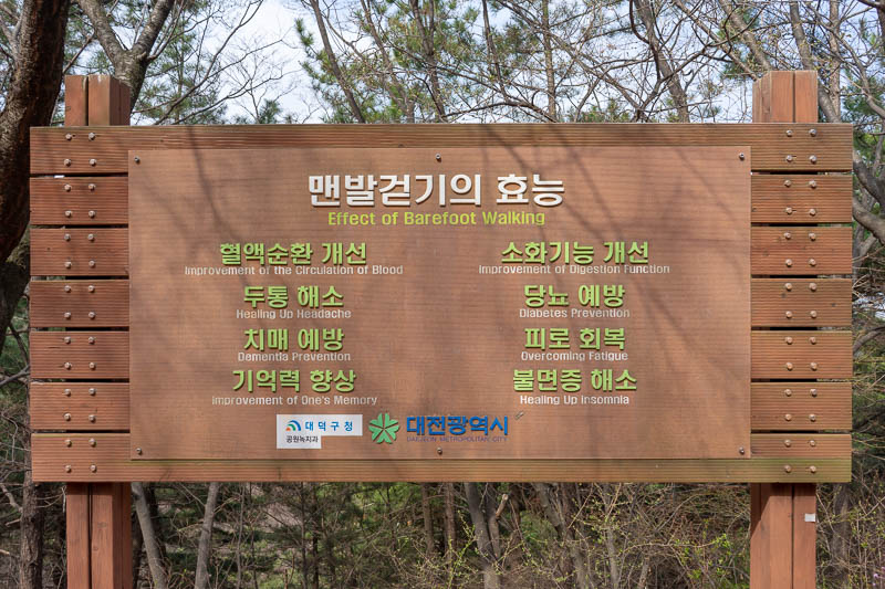 Korea-Daejeon-Hiking-Gyejoksan - So there you go, walking barefoot prevents diabetes, eliminates unwanted ghosts and apparitions.