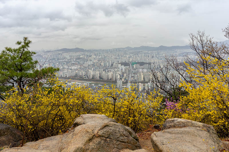 Korea-Seoul-Hiking-Yongmasan - Summit view, suitably rocky and yellow. A runner up for the much coveted photo of the day award.