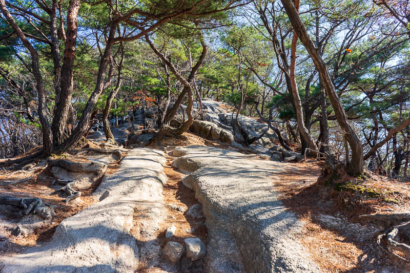 Korea-Hiking-Suraksan - Today featured every kind of mountain trail. I enjoyed the variety. Here is a scramble up some steep rocks section, one of my favorites.