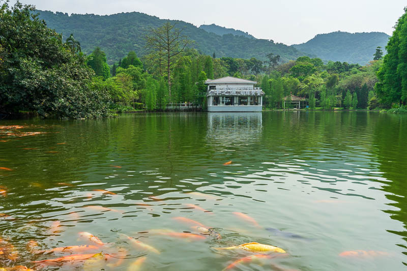 China-Guangzhou-Hiking-Baiyun - More lakes, more fish.