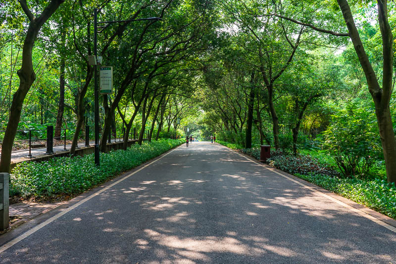 China-Guangzhou-Hiking-Baiyun - The final part of the path out of the place was a nice shady canopy. A welcome relief from the recently arriving sun.