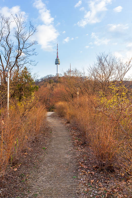 Korea-Seoul-View - There is the tower. The light was great at this point, I was excited to go enjoy the sunset. Note the dead grass looking stuff, snow kills everything.