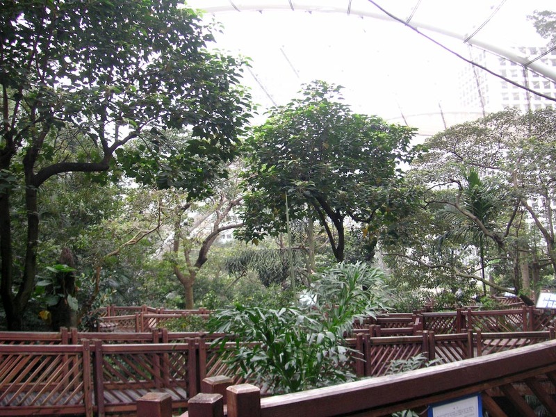 Hong Kong-Zoo-Park - Theres also a giant bird aviary in the park, with a river running through it.