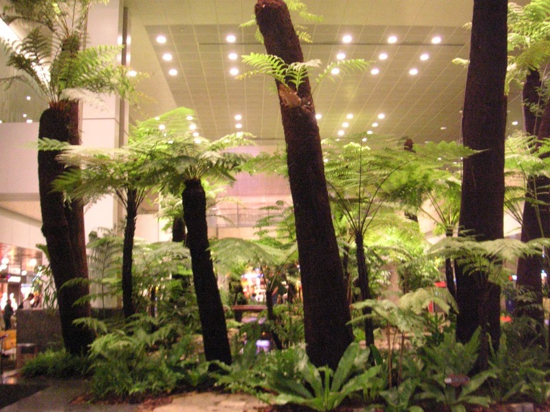 Singapore-Airport - One of the many indoor gardens.