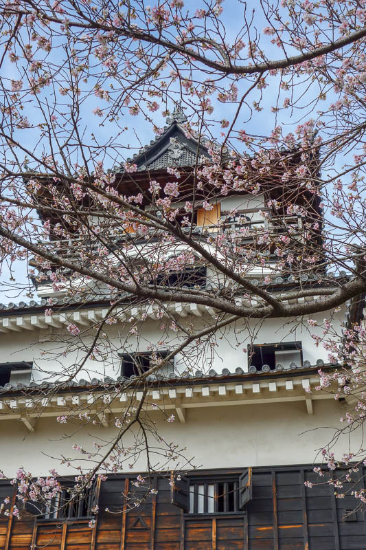 News and general updates - Next up in the region of Nagoya was a day trip to Inuyama, near Gifu. I actually spent a few days in Gifu on a more recent trip to Japan. Inuyama is a