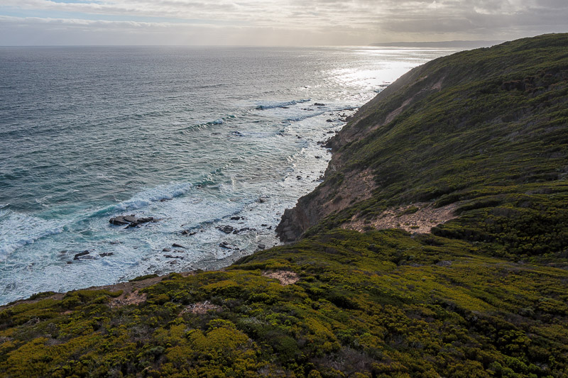 News and general updates - Photo taken from the top of the Cape Otway lighthouse.