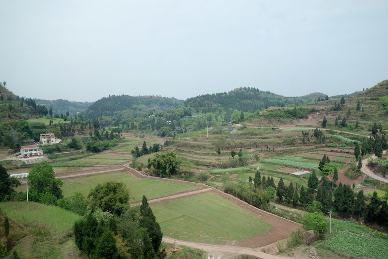 China-Chengdu-Chongqing-Bullet Train - Terraced farming started to appear in places. Not sure what they were growing.