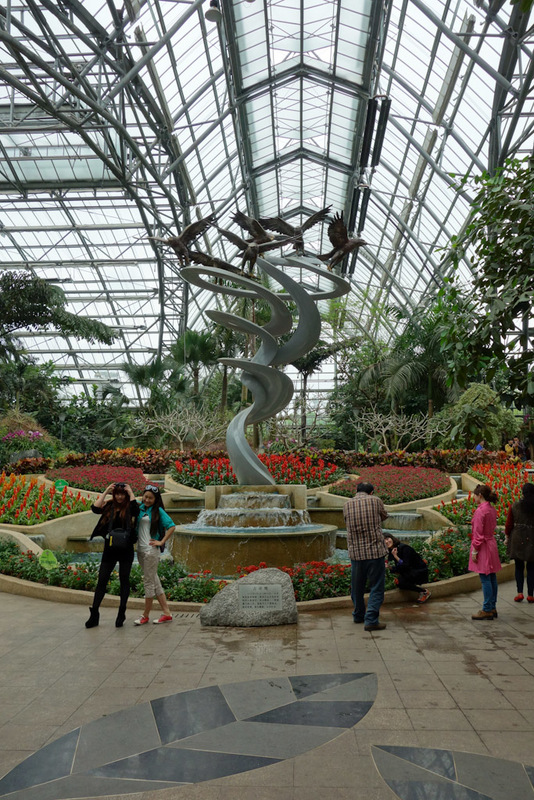 China-Chongqing-Botanic Garden - Inside the impressive greenhouse.