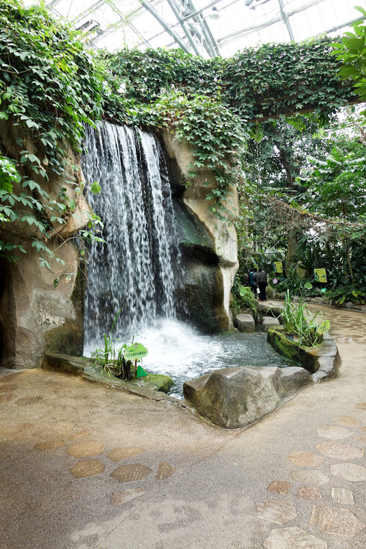 China-Chongqing-Botanic Garden - Which features fake waterfalls and cave systems made of concrete.