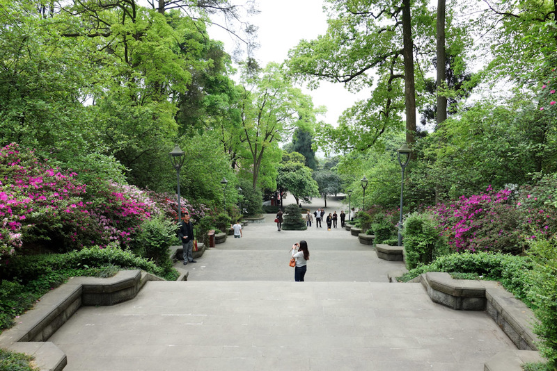 China-Chongqing-Botanic Garden - Mountain garden