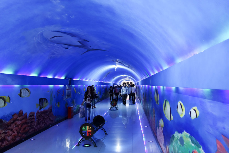 China-Chengdu-Architecture - The tunnels that go under the road to stop you getting killed by a bus are numerous. This one appeared to be an aquarium, but closer inspection reveal