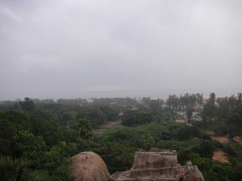 India-Chennai-Mamallapuram-Monkeys - Looking at the ocean - no sign of tsunamis.