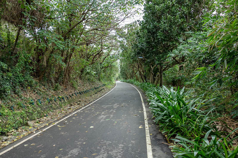 Taiwan-Hualien-Beach-Chisingtan-Cake - The path was of a high quality the whole way, no trucks or scooters blocking the way or trying to run me down.