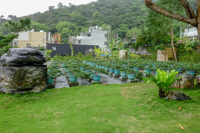 Taiwan-Hualien-Hiking-Rain-Zuocang - Back down and here is a bonsai farm.