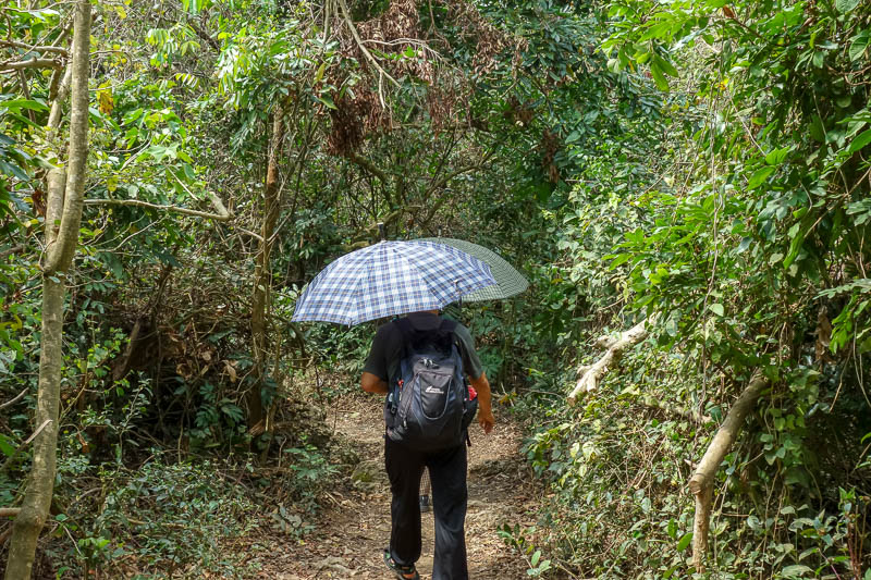 Taiwan-Kaohsiung-Hiking-Shoushan-Chaishan - Except more grandmas were walking slowly with terrifying umbrellas to stop anyone getting past.
